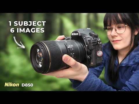 The Subtle Scenes of Summer: Woodland Photography with the D850