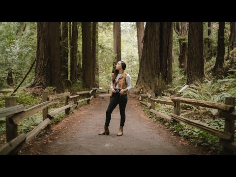 Muir Woods on the Leica 8 Element
