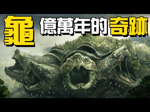 神話中能馱人過河的巨龜真實存在過！俗話說千年的王八萬年的龜，它們就這麼苟過億萬年丨海爬類05丨恐龍時代