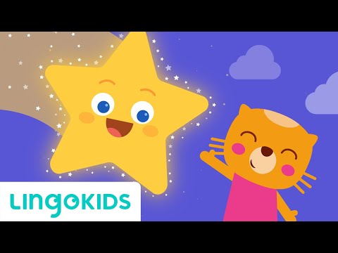 Twinkle Twinkle Little Star 🌟 Baby Song | Lingokids