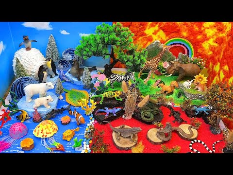 Explore Arctic, Ocean, Forest & Desert Animals πβοΈππ³π΅=