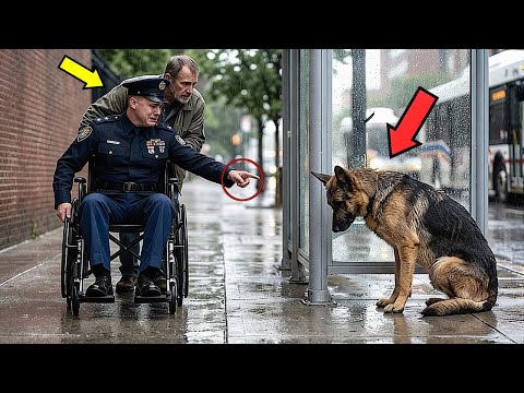 "I Thought He Was Gone Forever" — An Officer Cries When He Finds His Starving Police Dog!