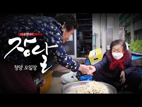 청양 오일장 | 우리는 가족, 충남 청양 오일장 | 다큐멘터리 장날 | 대전MBC