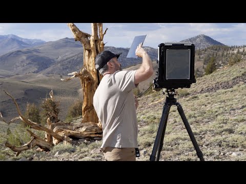 Large Format Landscape Photography S2E1: Ancient Trees