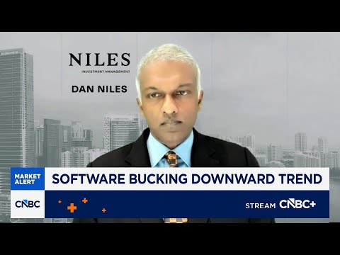 Dan Niles: Investors need to be broadly diversified to get through market period in better shape