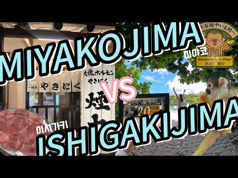 [미야코지마 vs 이시가키] 어디가 더 좋아? | ✨현실 여행비교 | 렌트카, 관광, 여행 정보 총정리🧐