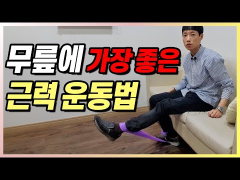 무릎에 제일 좋은 근력 운동 l 운동으로 무릎 통증 없애는 방법 l 닥터딩요