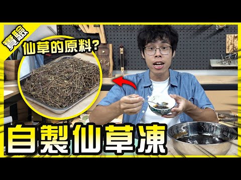 挑戰自製仙草凍！古人怎麼會覺得這東西能吃啊！【胡思亂搞】ft. @EmmaSleepTaiwan