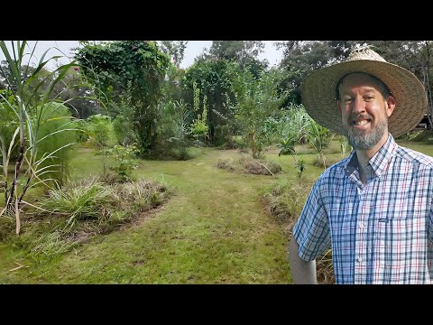 2-Year-Old Food Forest Tour - Already Doing Great!