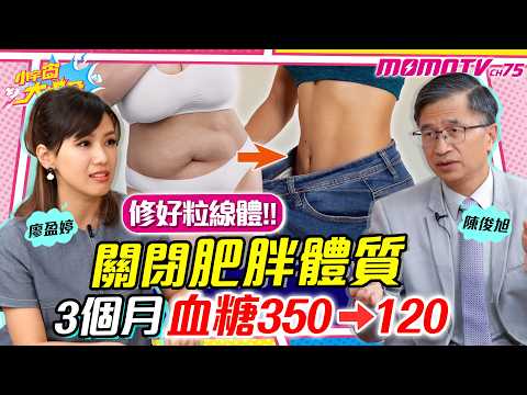 修好粒線體!! 關閉 肥胖 體質 3個月 血糖 350→120 ft. 醫學博士 陳俊旭【 小宇宙大爆發 】
