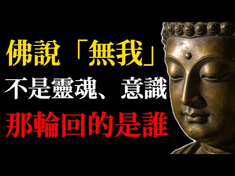 佛說「無我」,那輪回的是誰?解析千年公案:不是靈魂、也不是意識,真相竟然是「它」!#佛學智慧#輪回#無我#那先比丘#彌蘭王#阿賴耶識#因果#禪宗公案#生命真相#佛學#心理學#覺醒