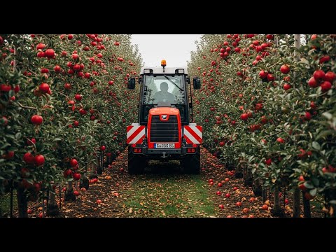 How Farmers Harvest Apples : Apple Juice Processed in Factory | Farming Documentary