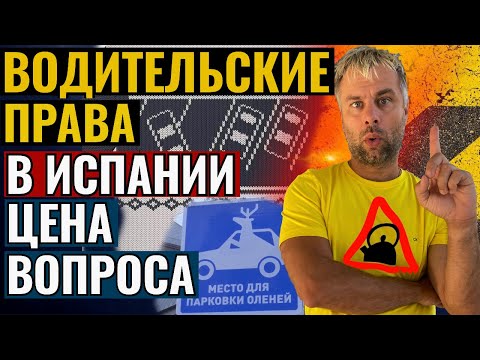 ВОДИТЕЛЬСКИЕ ПРАВА В ИСПАНИИ |  ЦЕНА ВОПРОСА И ПОСЛЕДСТВИЯ