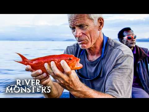 The Most Beautiful & Colourful Fish Caught On River Monsters