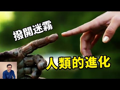 被都市傳說圈蹂躪的人類進化史，真的那麼不堪一擊嗎？腦洞源於證據【老肉雜談】