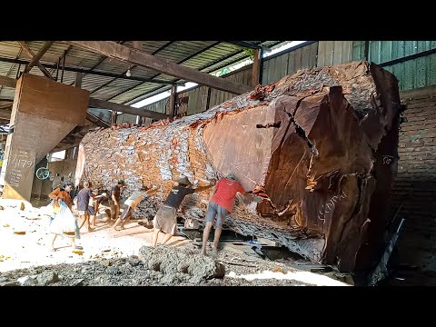 Kayu mahoni terbesar didunia dibeli 1.2 milyar warga Jepang digergaji Sawmill bahan bak truk Hino