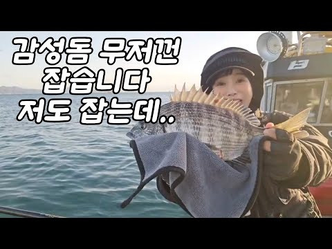 If you go here now, you can catch red sea bream! Go fishing on a boat in Gadeok, Busan, and taste...