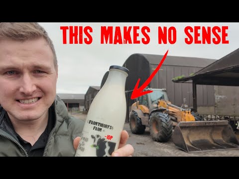 I’m Losing Money on Every Litre of Milk - Here’s the Survival Plan