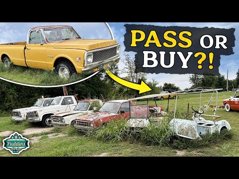 What should we buy?? Small Honey Hole of vehciles!