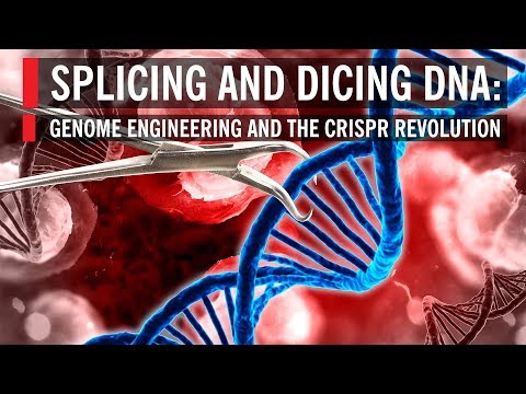 Splicing and Dicing DNA: Genome Engineering and the CRISPR Revolution