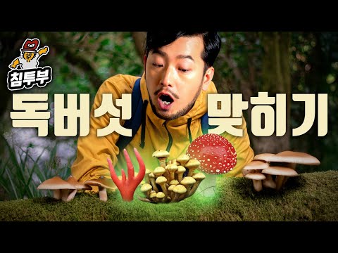틀리면 죽는다 독버섯 맞히기