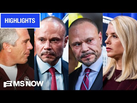 FBI #2 Dan Bongino's 'TUMULTUOUS' short year | MS NOW Highlights