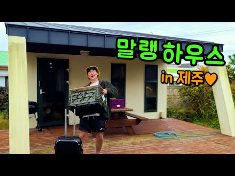 I got a villa in Jeju Island...!!