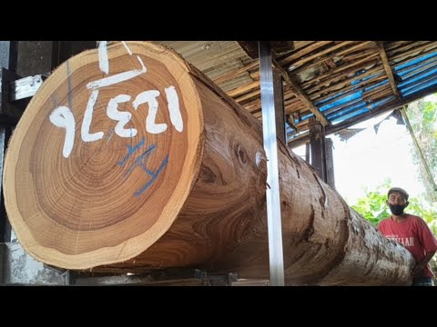 LEGENDARY TPK TEAK WOOD! TOO OLD WITHOUT BARK FOR JOGLO BEAM (At the Sawmill)