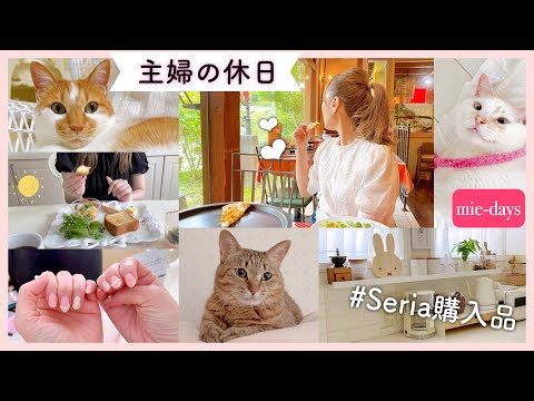103.［主婦の休日］家事をしたり、猫とたわむれたり…♡／セリア購入品紹介