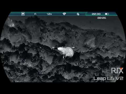 FARMYARD RAT SHOOTING