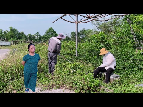 Sidewalks and benches covered with grass are cleared, leaving PEOPLE amazed