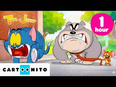 Greatest PRANKS Ever! | Peak Tom & Jerry 1-Hour Marathon | Cartoonito