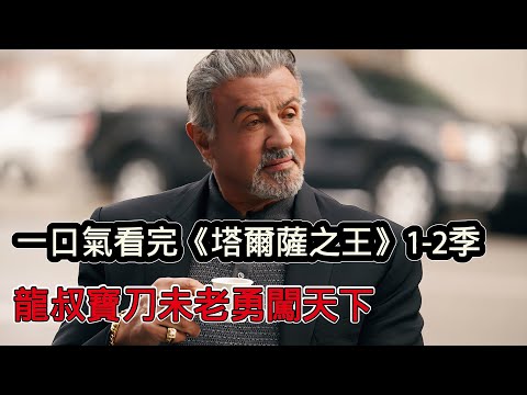 一口氣看完高分美劇《塔爾薩之王》1-2季完整版，史泰龍寶刀未老以一人之力橫掃底下黑幫，劇情緊湊毫無尿點