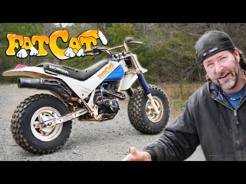 Reviving Honda’s Notorious “Fat Cat” Big Tire Dirt Bike (Sitting 15 Years!)