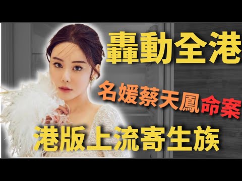 轟動全港，一單駭人聽聞的案件，蔡天鳳命案，伍SIR將事件嘅始末及起因， 詳細及順序鋪排案件嘅始末，由於案件仍然在調查當中， 所以未必是最更新的， 如有資料出錯，敬請原諒，Z檔案 ｜奇案調查 ｜蔡天鳳