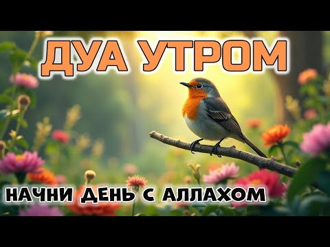 ДУА УТРОМ — НАЧНИ ДЕНЬ С АЛЛАХОМ 🌅🕋