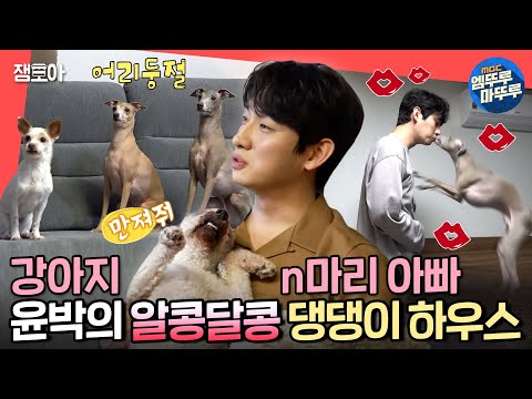 [전참시] 만져줘! 안아줘! 뽀뽀해 줘! 댕댕이 3마리와 동거하는 윤박 🐶ㅣ#윤박 #엠뚜루마뚜루 MBC220409방송