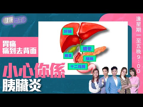 健康關注組｜胃痛痛到去背面 小心你係胰臟炎｜HOY TV 77台｜敖嘉年 ｜梁嘉琪｜第75 集 ｜ 胰臟癌