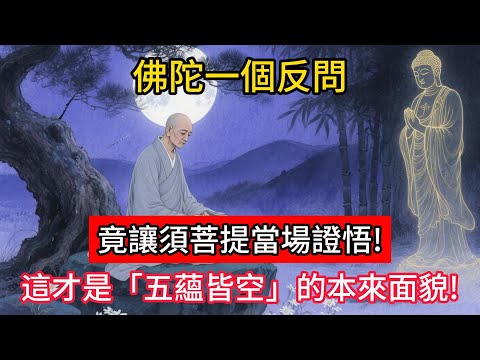 佛陀一個反問，竟讓須菩提當場證悟！這才是「五蘊皆空」的本來面貌！#佛學 #正能量 #菩提解脫道 #佛教文化 #佛教故事 #人生感悟