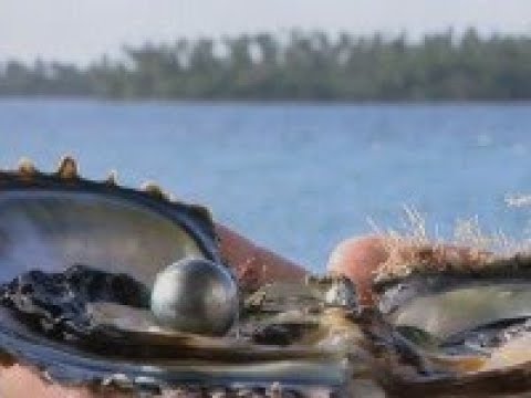 Жемчуг Таити документальный фильм о Patrick Voillot