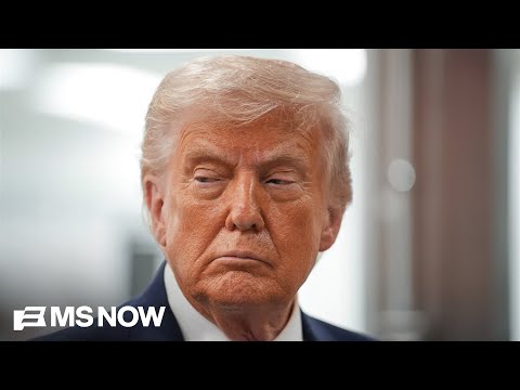 Trump ‘completely misunderstood’ Iranian regime’s capacity for resistance: Dem Rep.