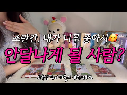 조만간 곧, 내가 너무 좋아서❤️ 안달나게 될 사람?🥰 누구일까?, 언제쯤, 내가 좋은 이유 등 연애 조언카드와 함께 알아보아요.🙏