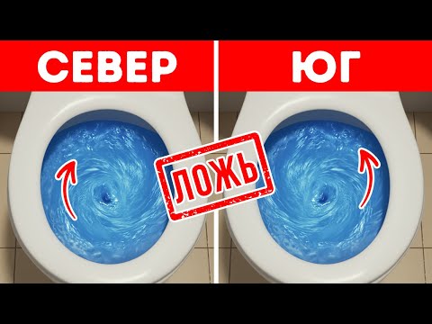 Мифы столь глубоко укоренившиеся, что вы никогда их даже не ставили под сомнение