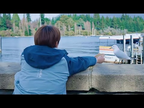 【張遠】出發吧探行海之路全集