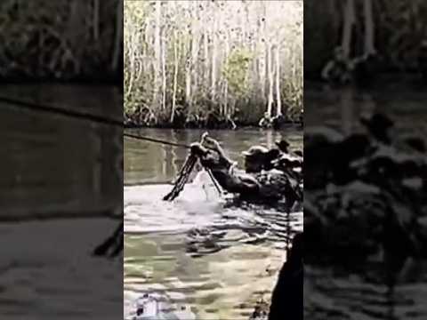 Precision and Power US Army Tank#PrecisionStrike #USArmy #MilitaryStrength #TankPower #ArmyLifeUSA