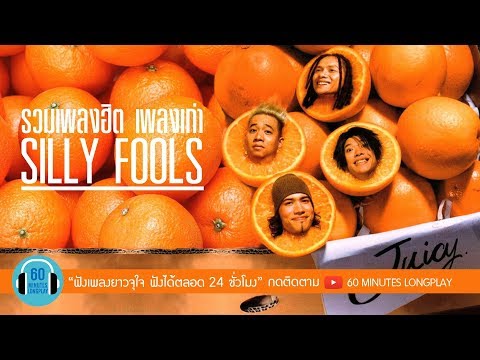 รวมเพลงฮิต เพลงเก่า SILLY FOOLS [ซิลลี่ ฟูลส์] l แกล้ง, คิดถึง, ขี้หึง, วัดใจ l