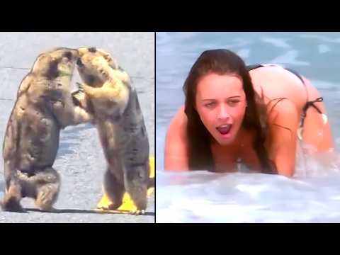 Ozzy Man Reviews: Mega Compilation #18