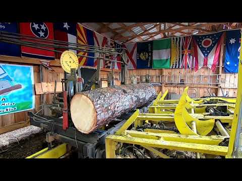 sawing blue spruce 2x4's # 291