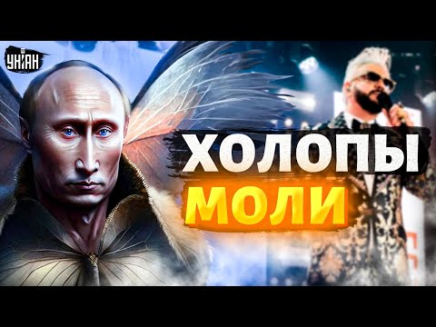 На службе у бункерной моли. Звездные фанатики Путина - кто они? Тайная жизнь матрешки