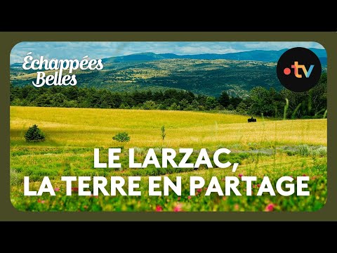 Le Larzac, la terre en partage - Échappées belles